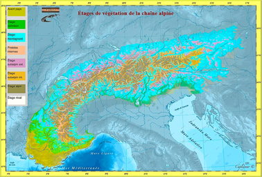 etage vegetation-map